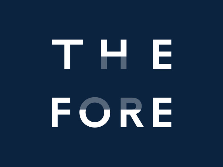 Fitch慈善機構品牌設計方案,分析品牌設計理念與法則