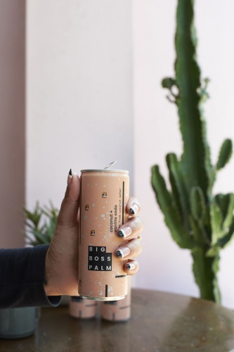 大老板棕櫚椰汁蘇打水品牌形象設計策劃和產品包裝設計