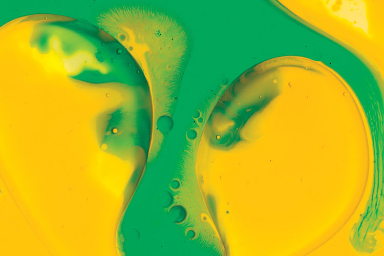 聯(lián)邦啤酒產(chǎn)品包裝設(shè)計(jì)，絢麗多彩