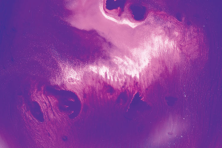 聯(lián)邦啤酒產(chǎn)品包裝設(shè)計(jì)，絢麗多彩