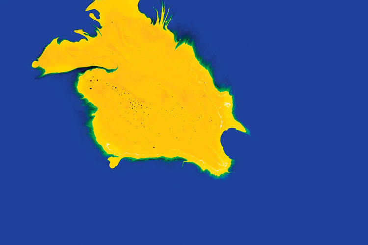 聯(lián)邦啤酒產(chǎn)品包裝設(shè)計(jì)，絢麗多彩